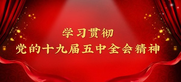 学习贯彻党的十九届五中全会精神